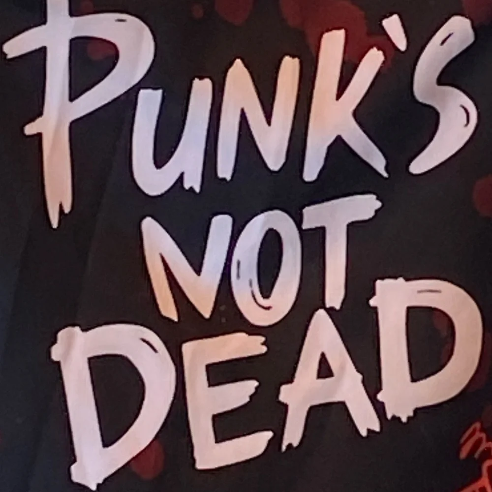 “Punk’s Not Dead” Black Graphic Hoodie White & Red Text Small Dog Halloween